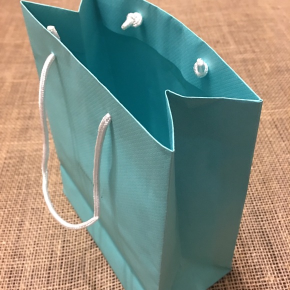Tiffany & Co. Authentic Medium Paper Shopping Bag - Picture 6 of 7